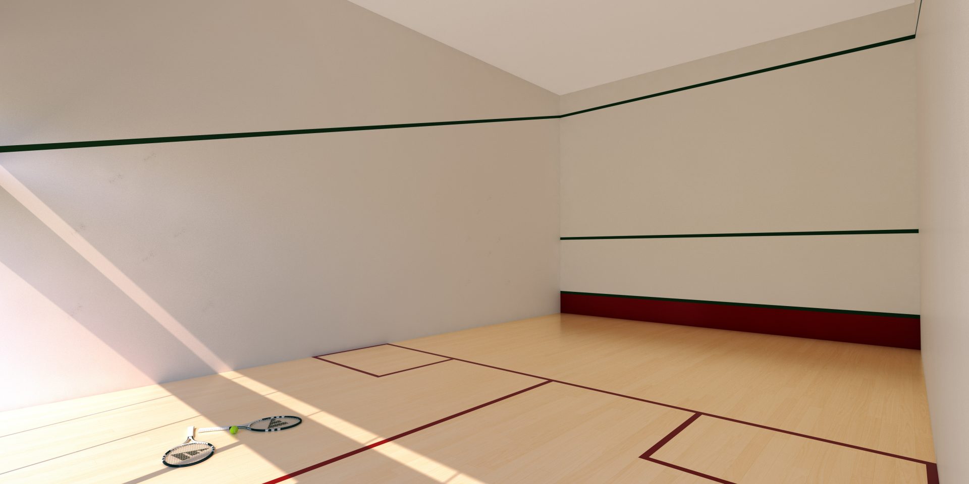 CELEBRATION LIFE QUADRA SQUASH