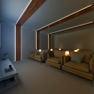 MAGNIFIQUE CINEMA